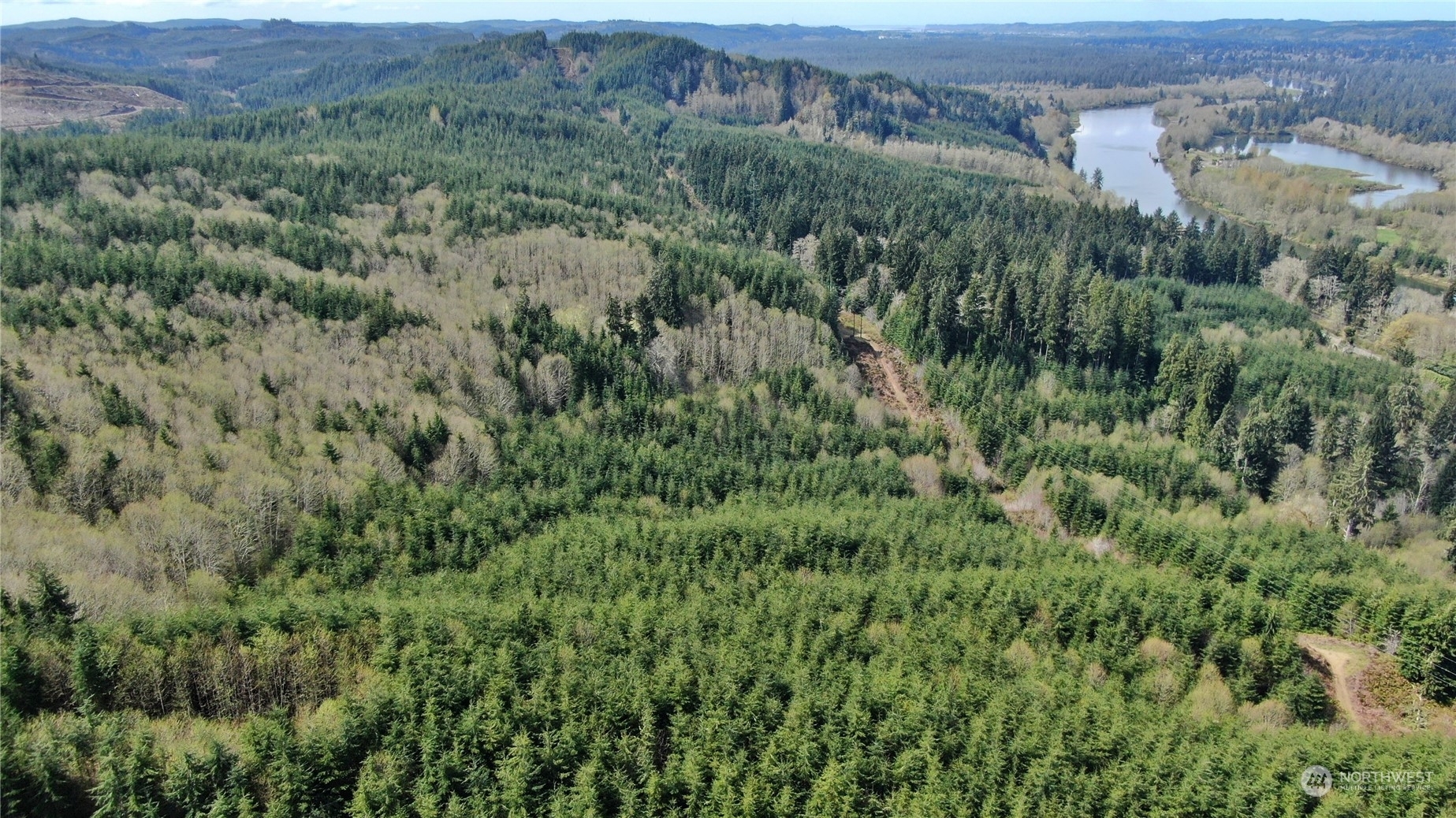 Property Photo:  0 Off Of State Route 107  WA 98563 