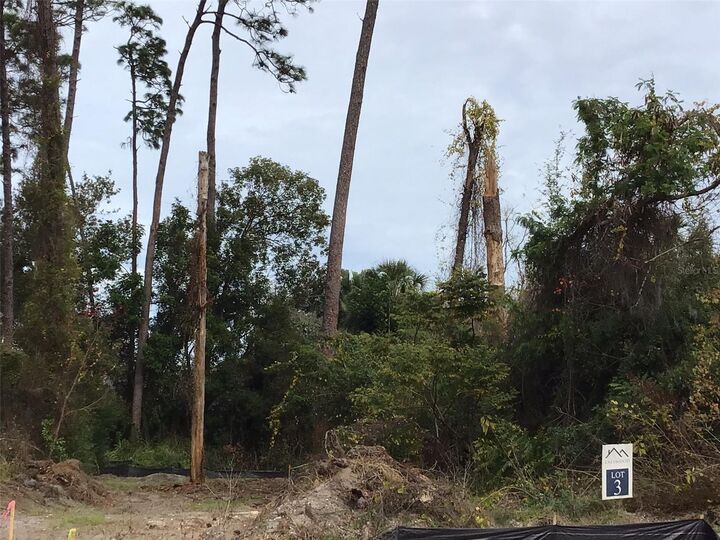 Property Photo:  1299 Almaria Court  FL 34683 