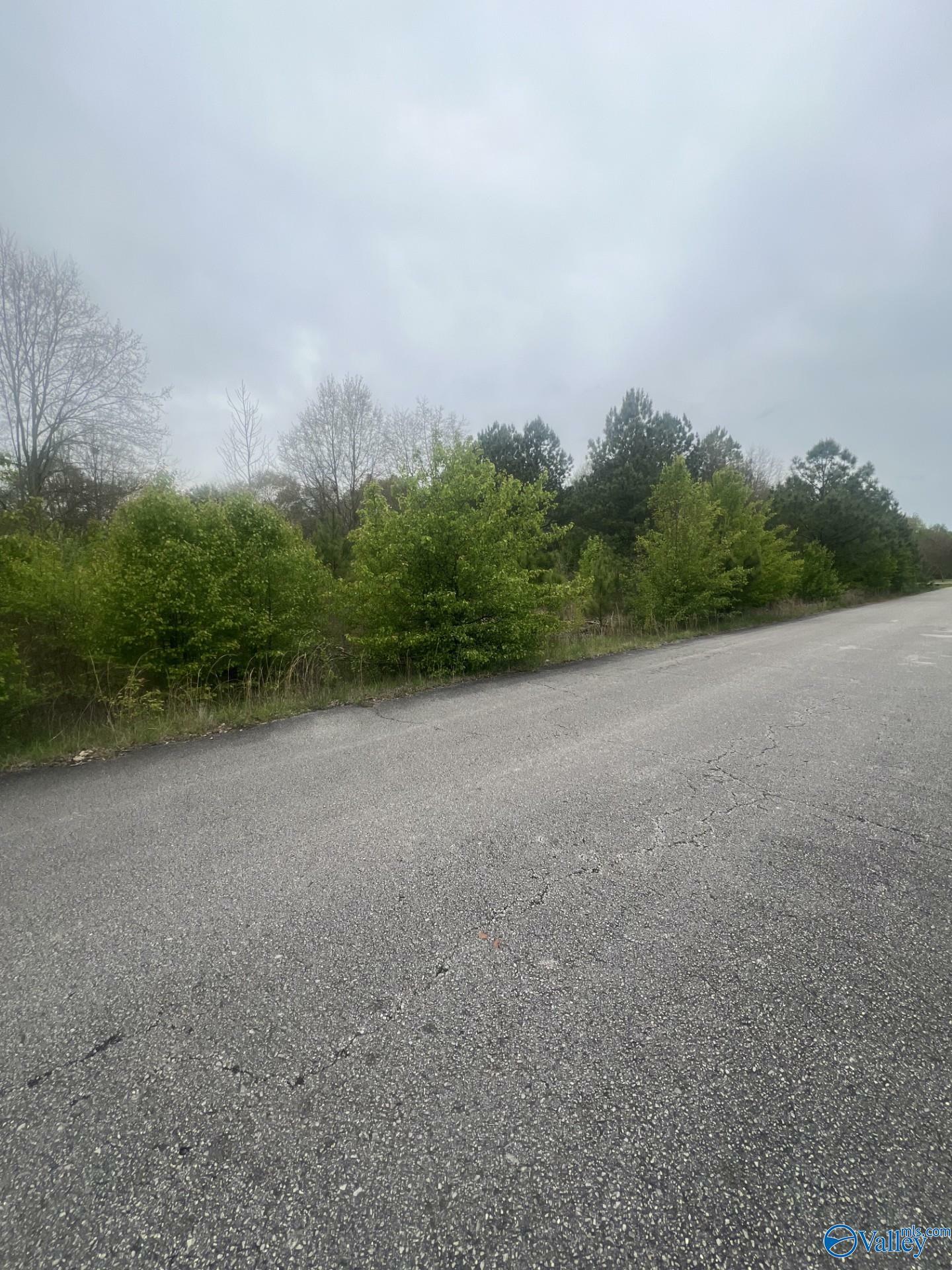 Property Photo:  Lot 5 Jennifer Lane  AL 35957 