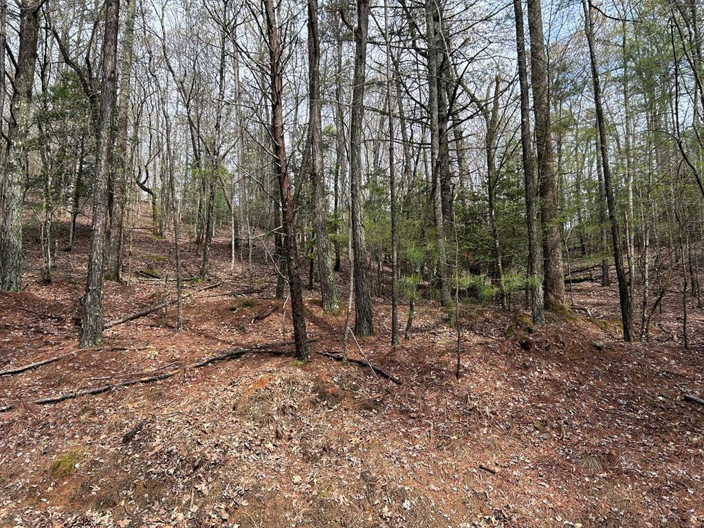 Property Photo: Lt2788 Medina Court GA 30540