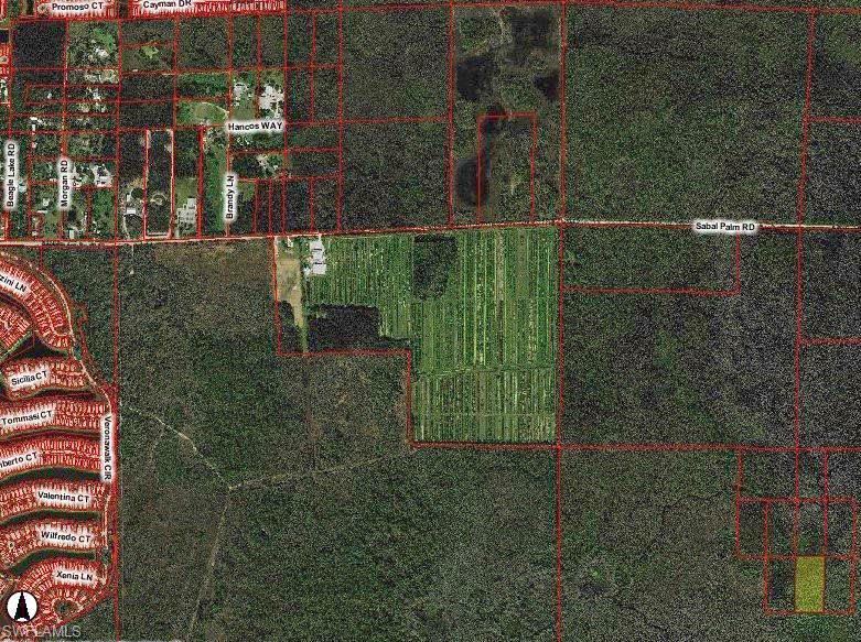 Property Photo: 0 South Of Sabal Palm Rd FL 34114