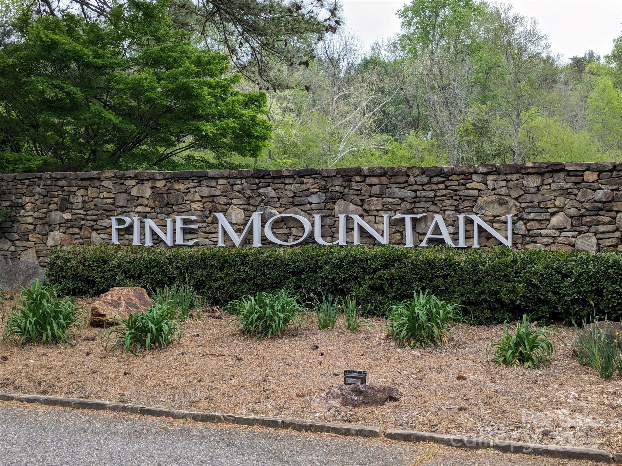 8636 Sleepy Hollow Road 12  Connelly Springs NC 28612 photo