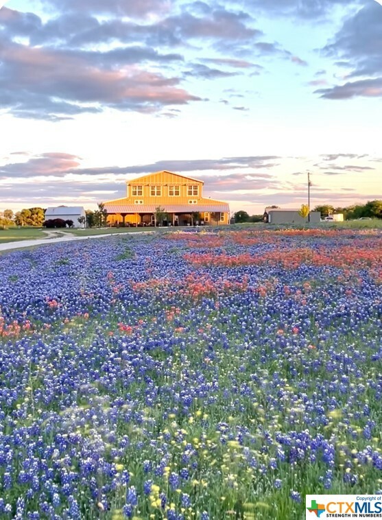 Photo de la propriété:  2041 Old Bethany Road  TX 76630 