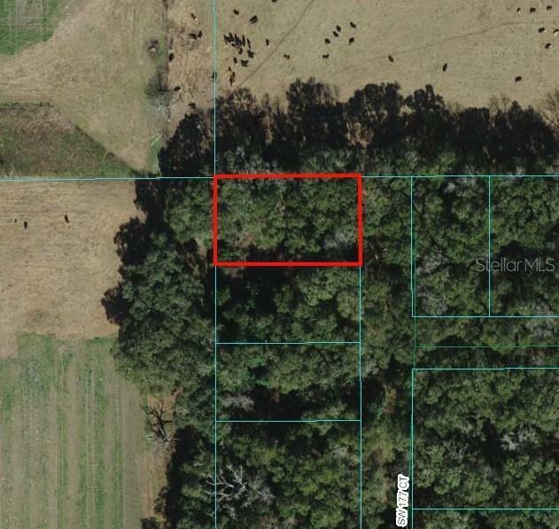 Property Photo:  0 SW 177th Ct Lot 1  FL 34432 