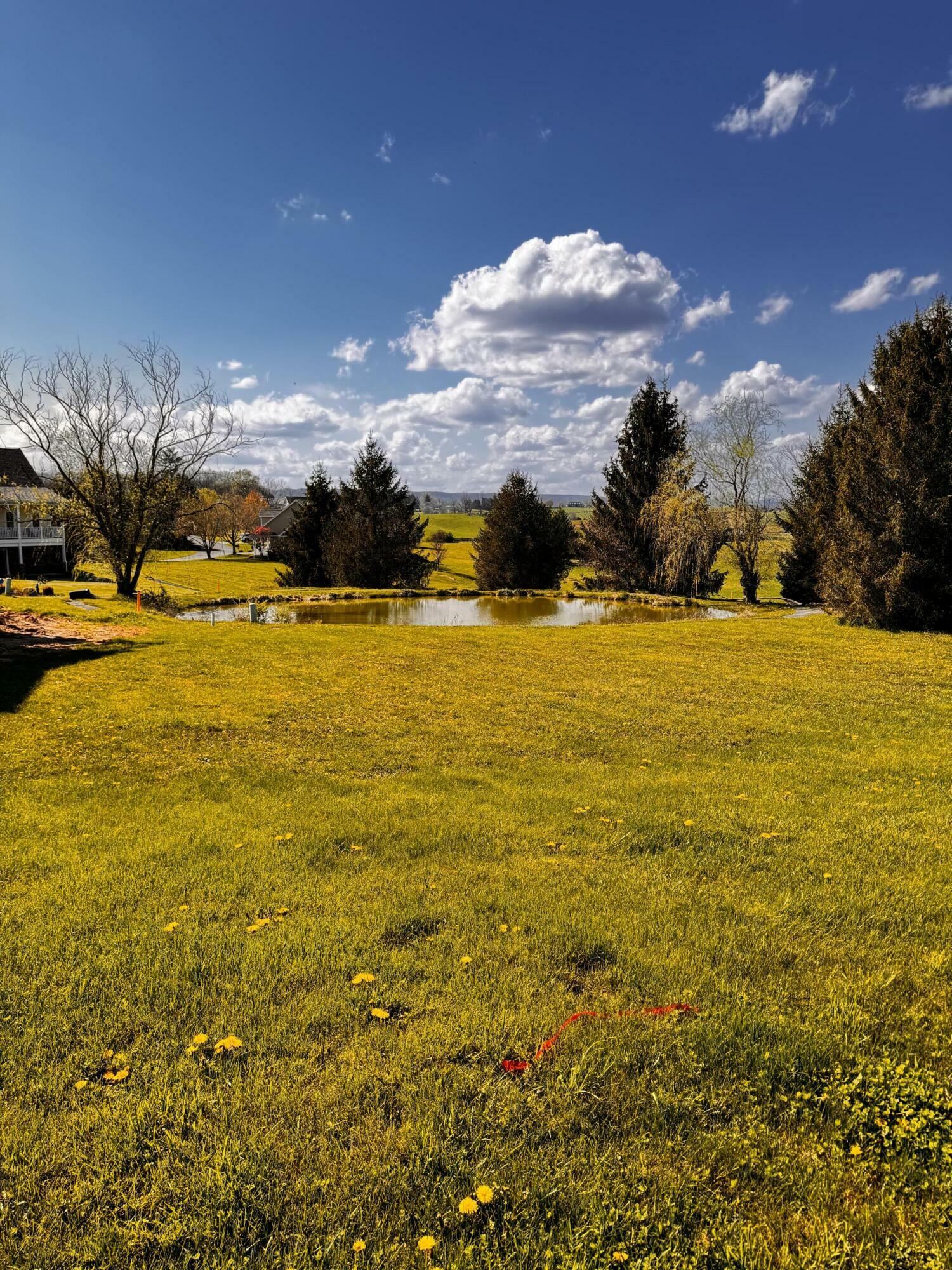 Property Photo:  255 James River Rd Sweet Grass S/D  WV 24901 