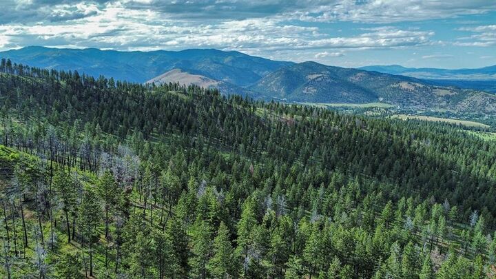 Property Photo:  15100 Rock Ridge Road  MT 59833 