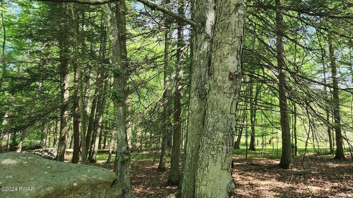 Property Photo: Lot 91 Pocono Mountain Lake Drive PA 18324