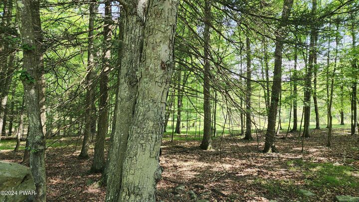 Property Photo:  Lot 91 Pocono Mountain Lake Drive  PA 18324 