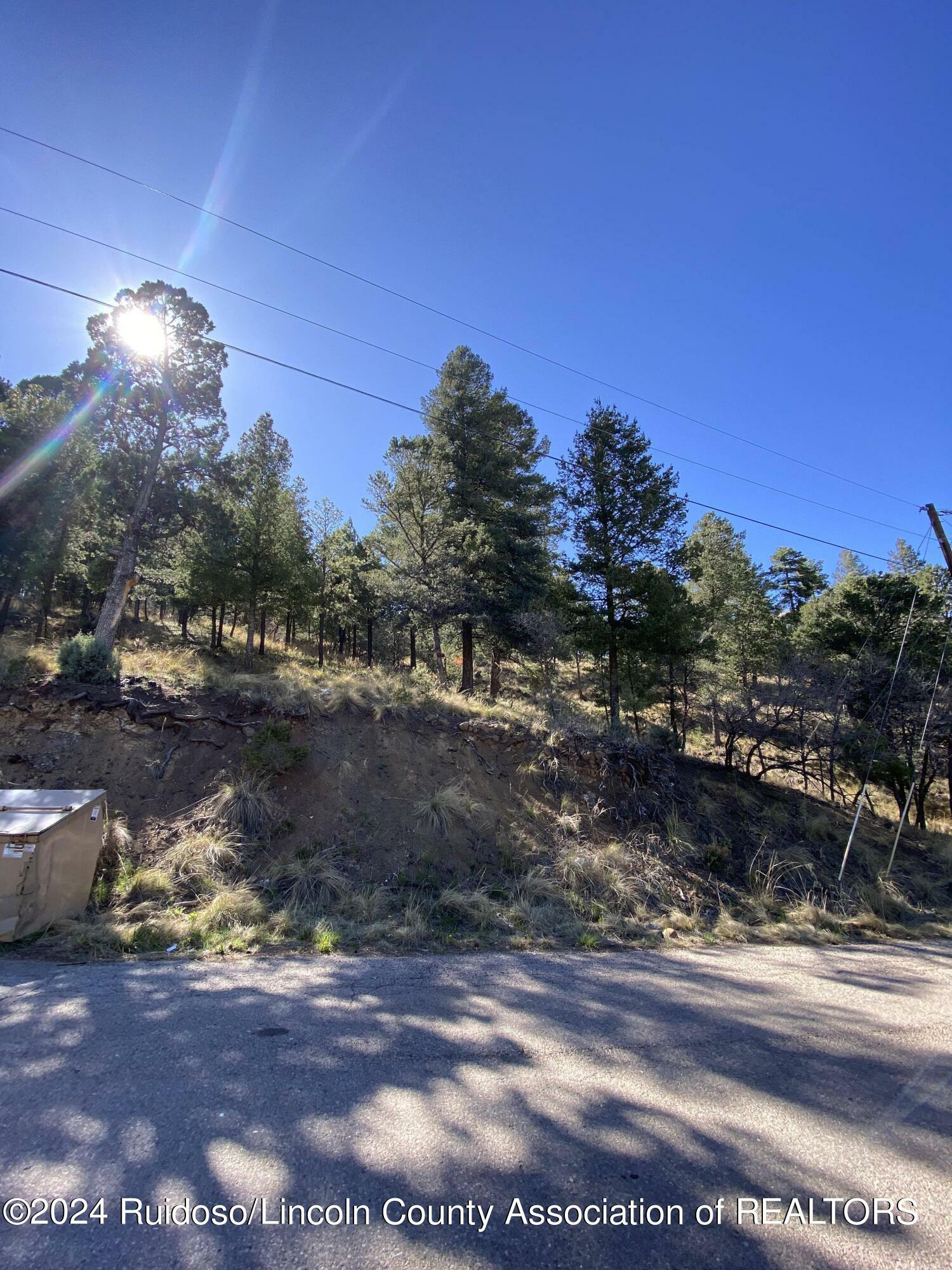 Property Photo:  0 Tonto Drive  NM 88345 