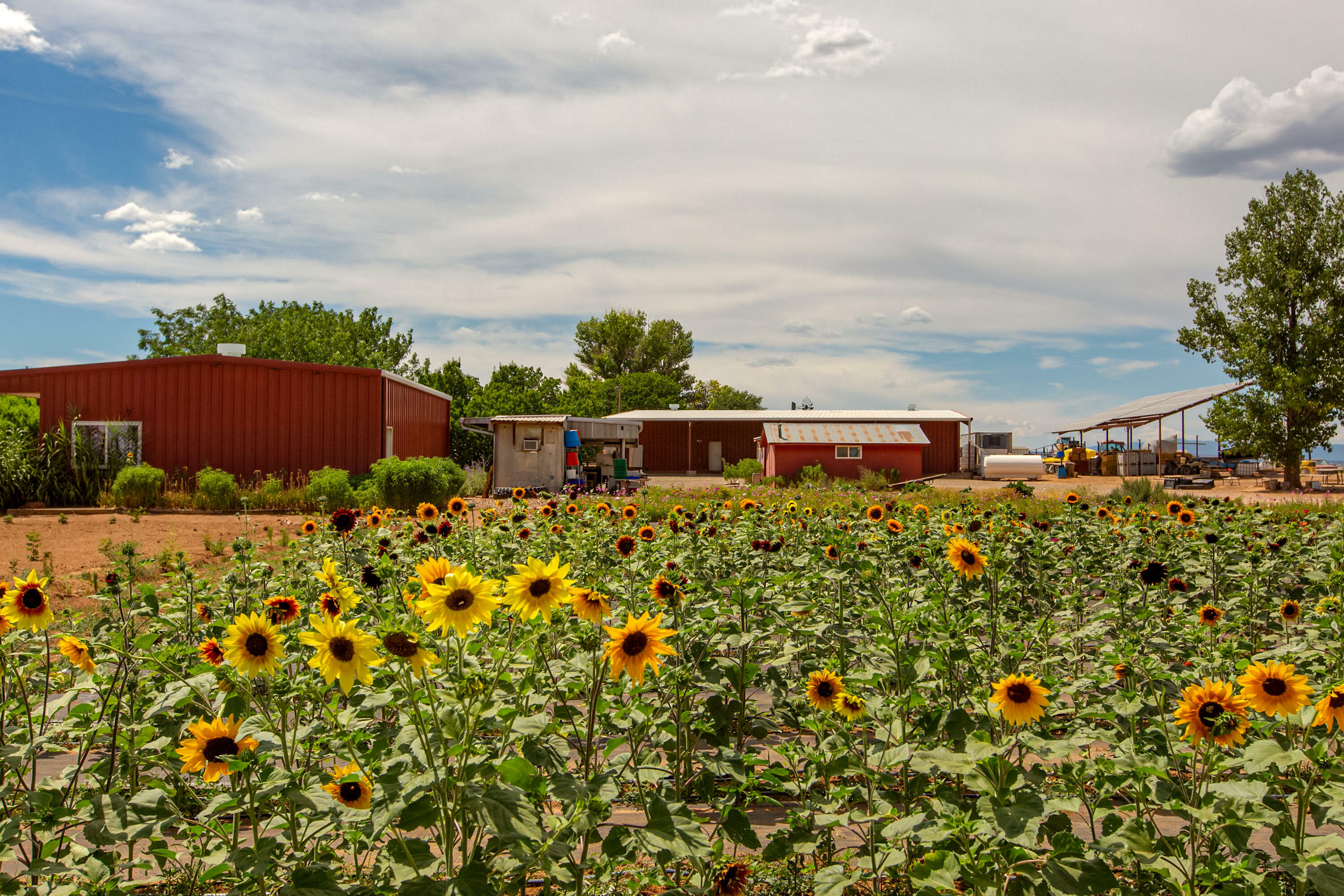 Property Photo:  901 Martinez Road  NM 87035 