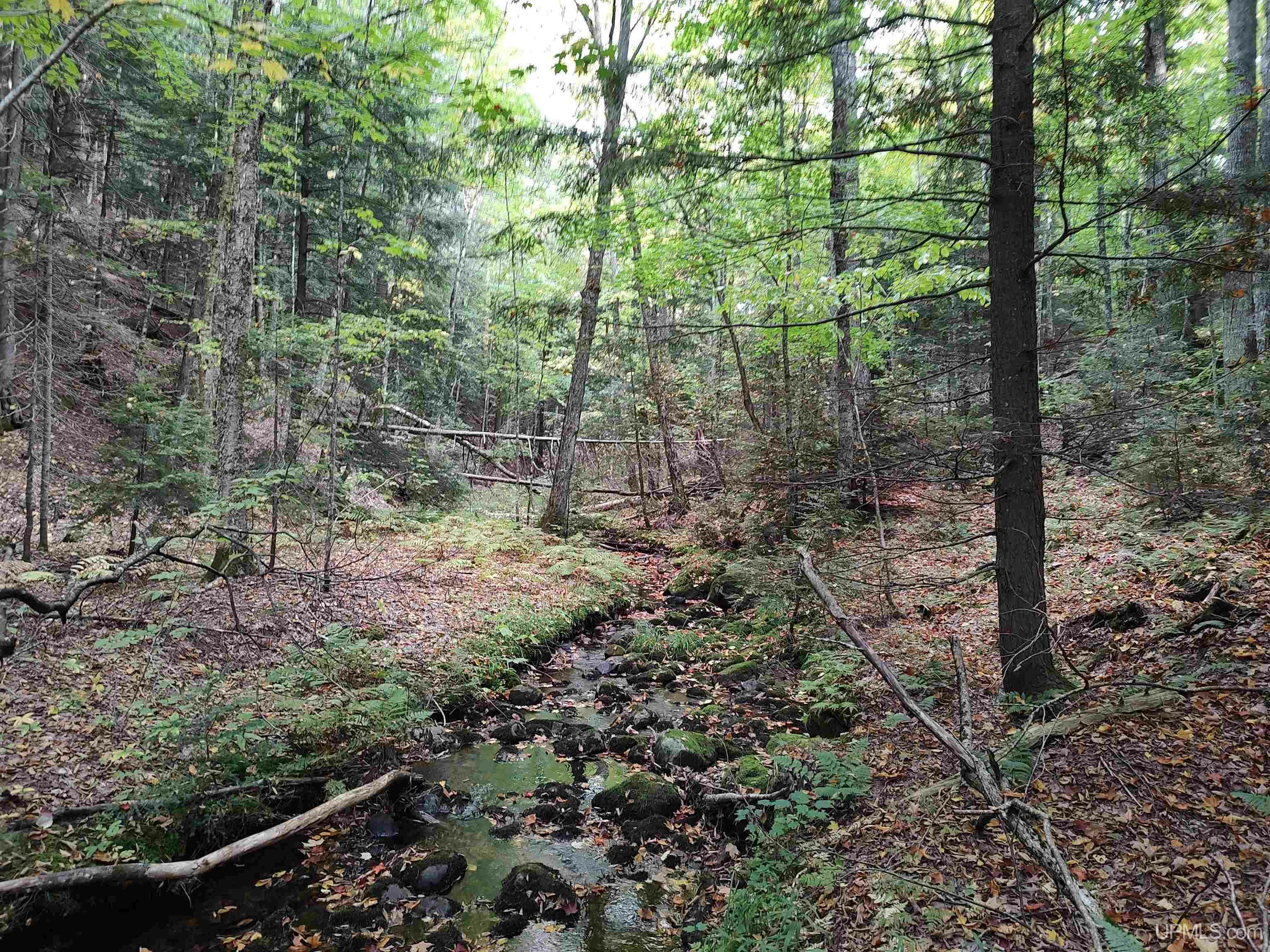 Property Photo:  160 Acres Lost Creek  MI 49855 