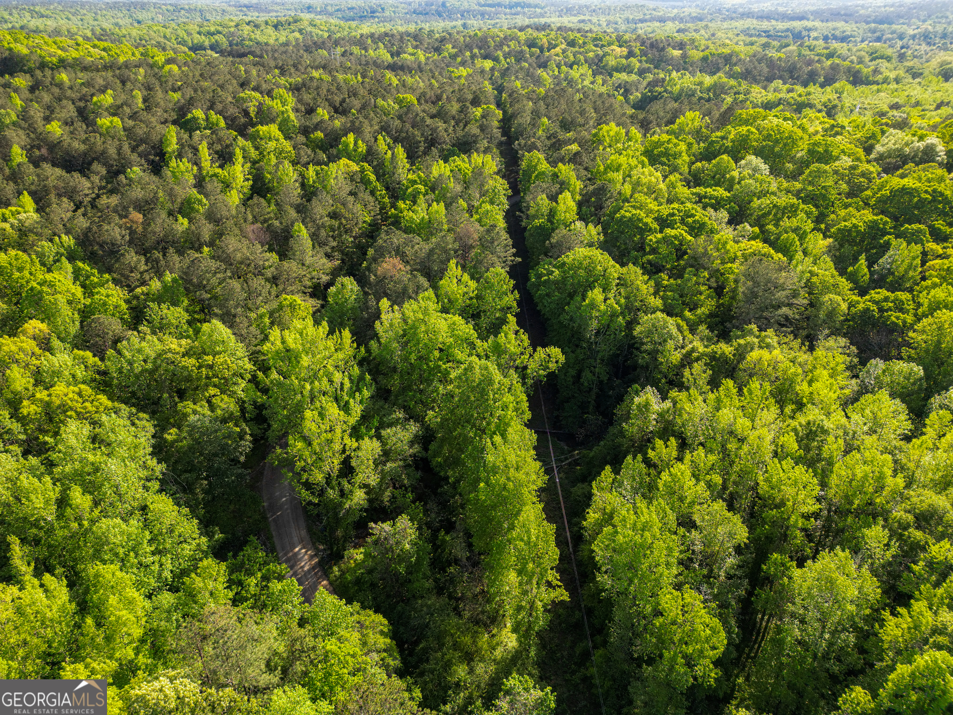 Property Photo:  723 Channing Cope Road  GA 30016 