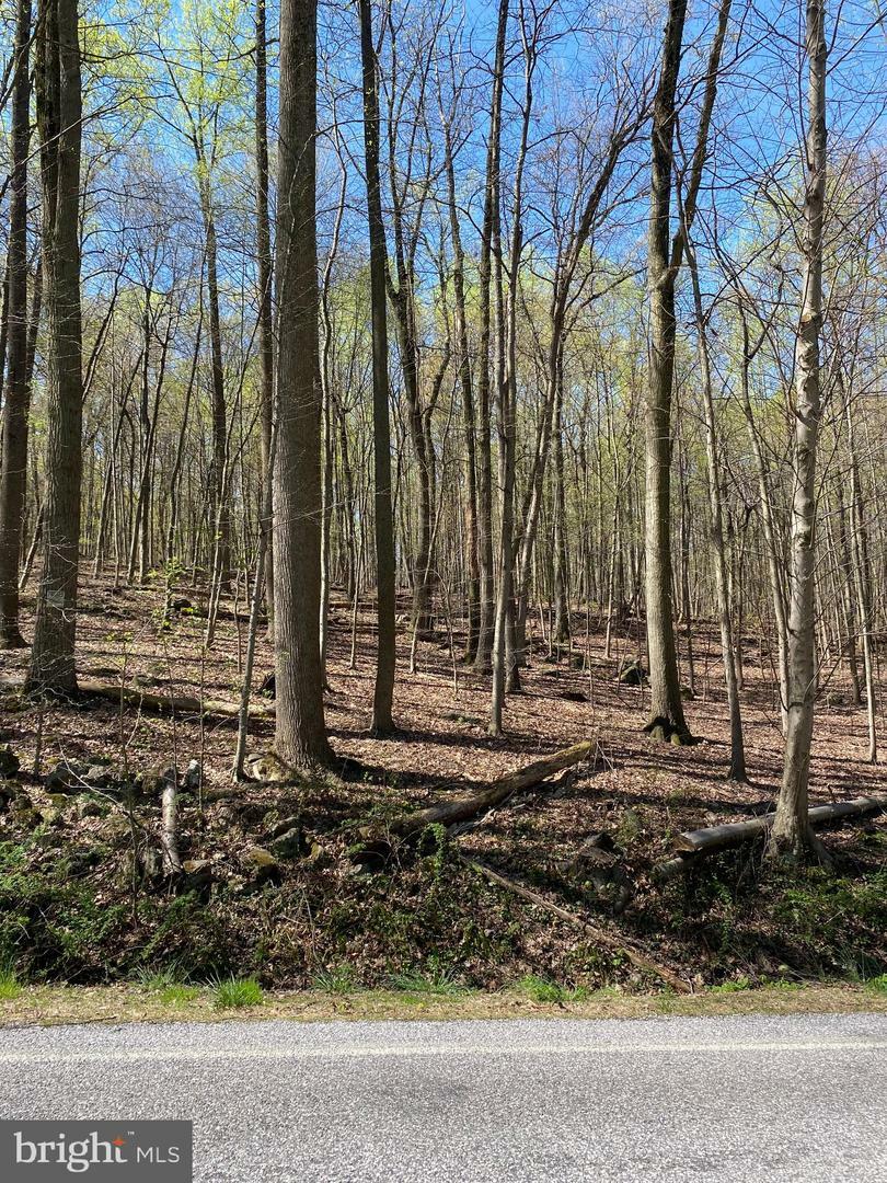 Property Photo:  Proposed Lot D-2 Potts Hill Road  PA 17319 