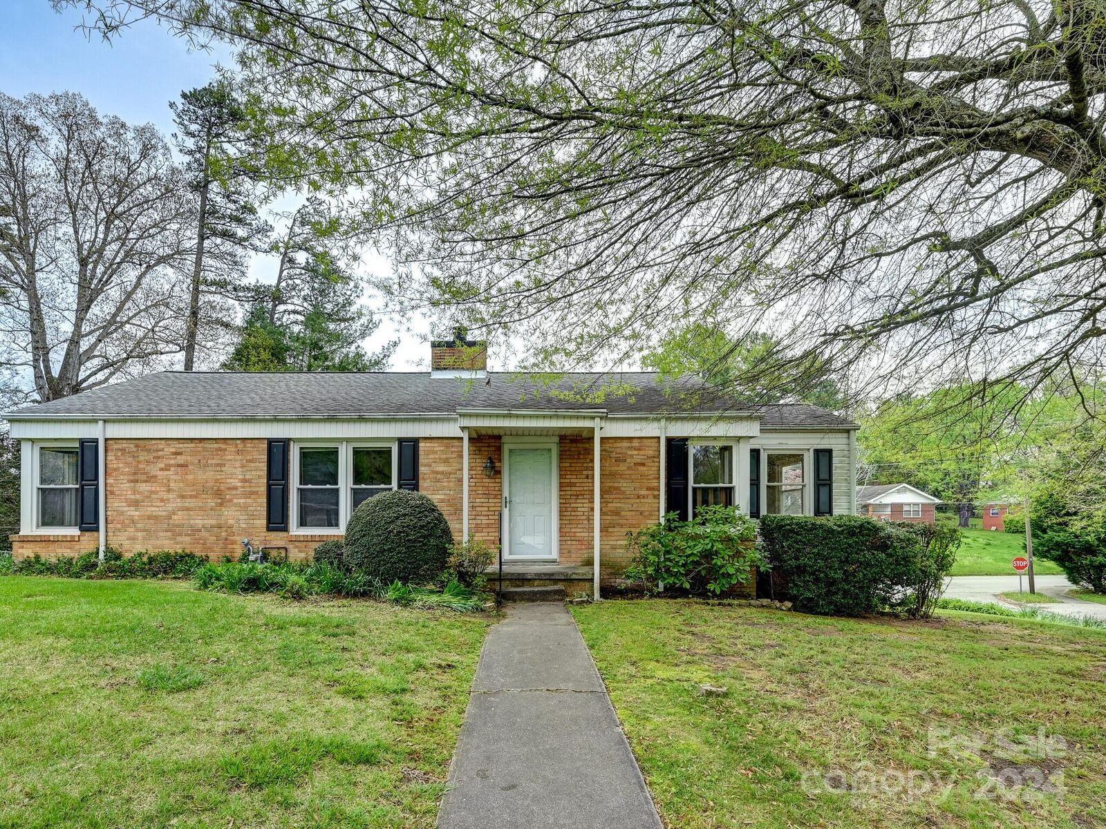 Property Photo: 1038 Sylvan Boulevard NC 28791