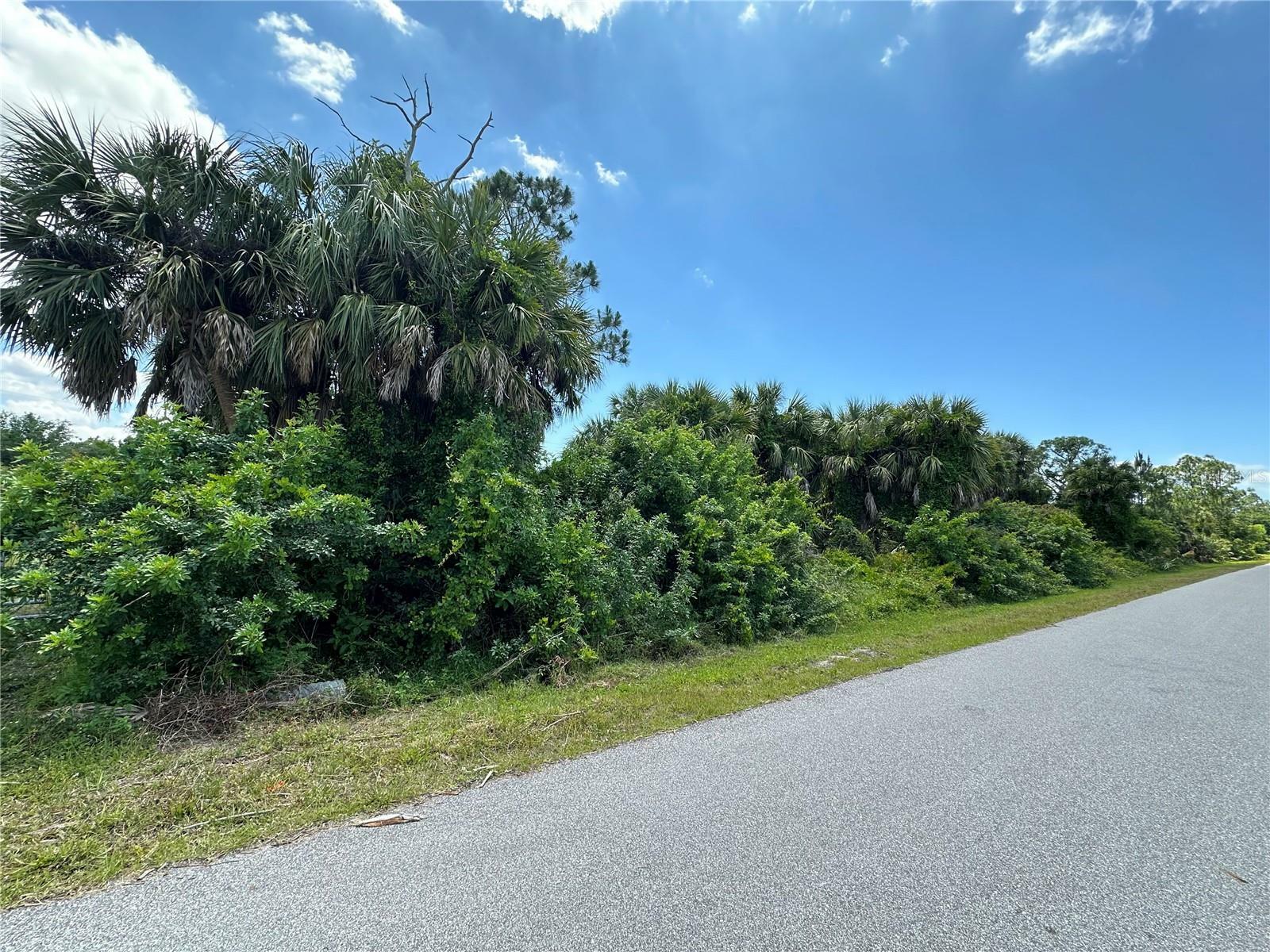 Property Photo:  26249 Brooks Road  FL 33955 