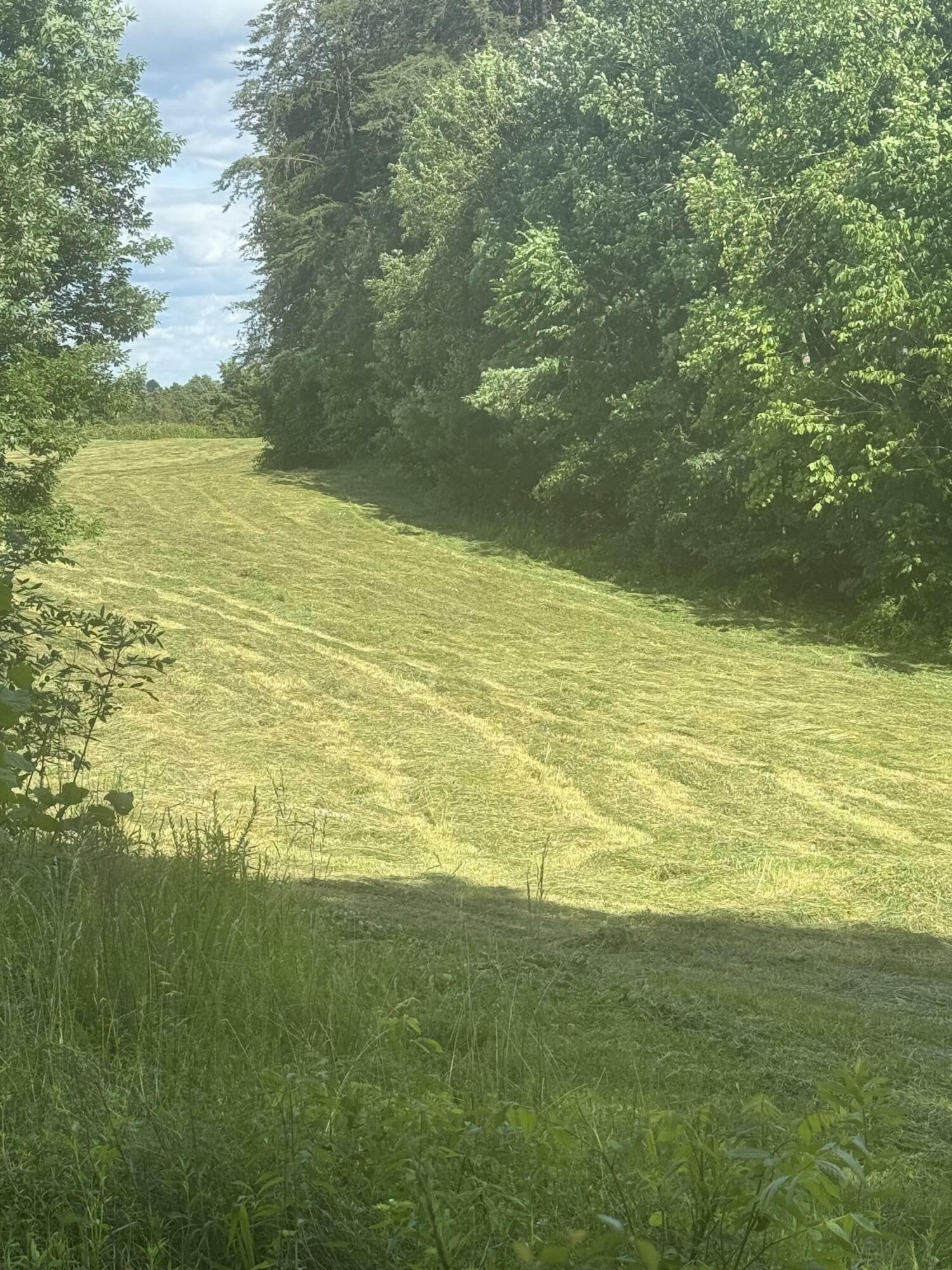 14.59 Mary Allender Road  Columbia KY 42728 photo