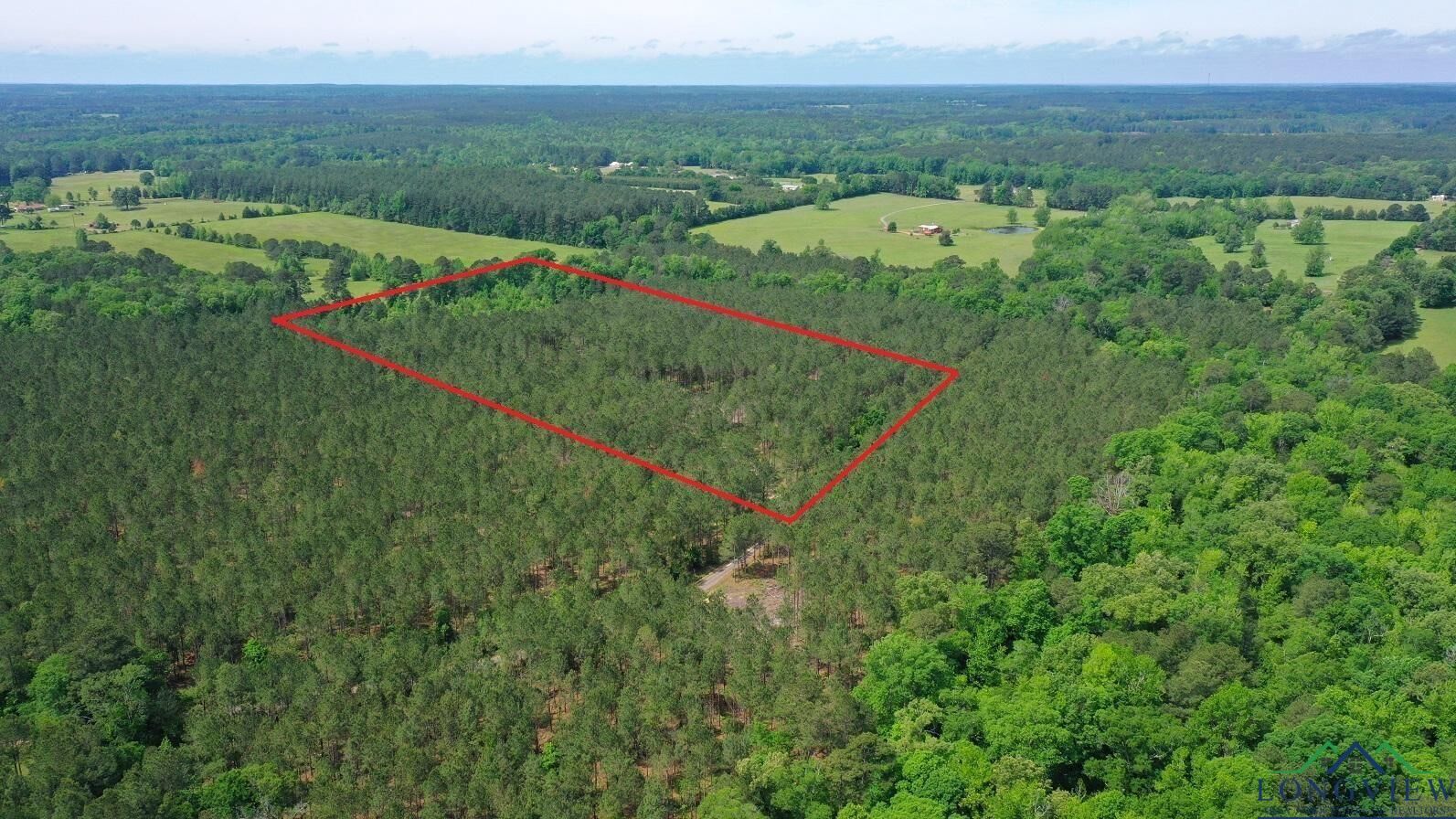 Property Photo:  Tbd Cr 1926 Tract 1  TX 75563 