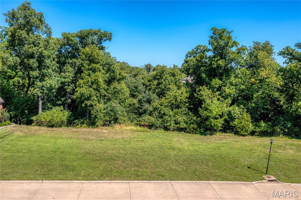 Property Photo: 69 Castle Bluff Drive MO 63304