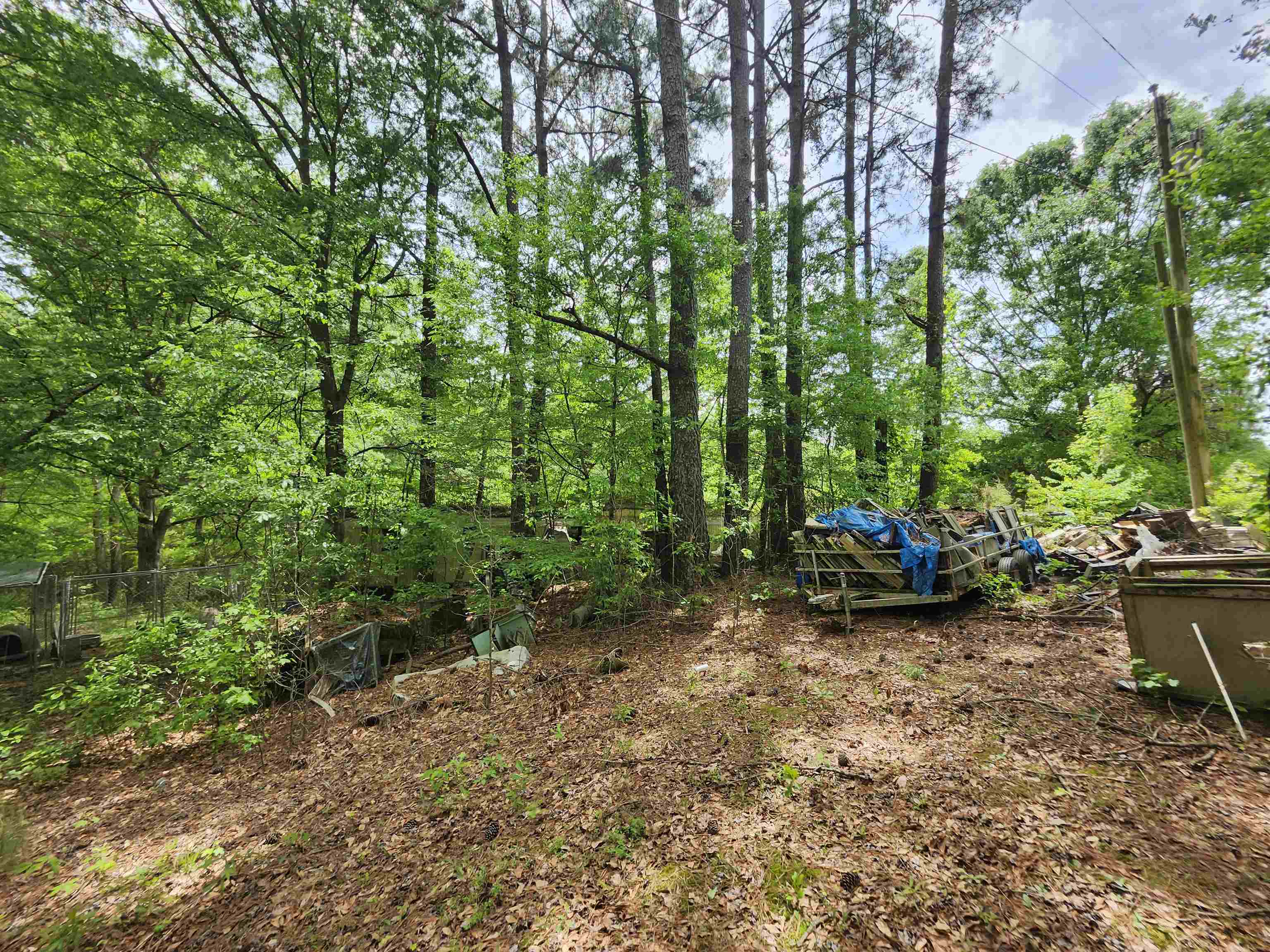 Property Photo:  42 Co Rd 1509  AL 35058 - CULLMAN 