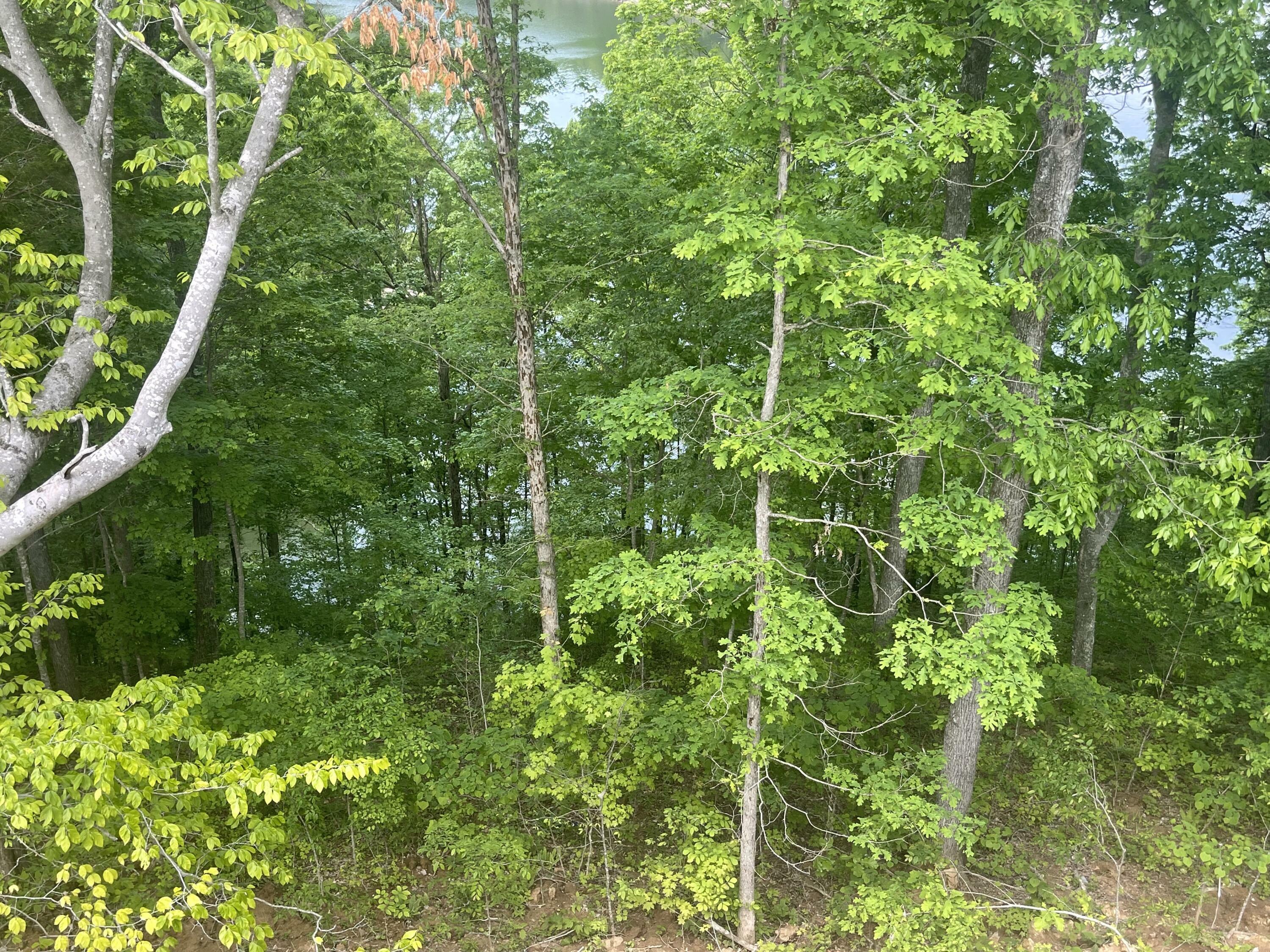 Property Photo:  Lot 37 Cumberland Shores  KY 42633 