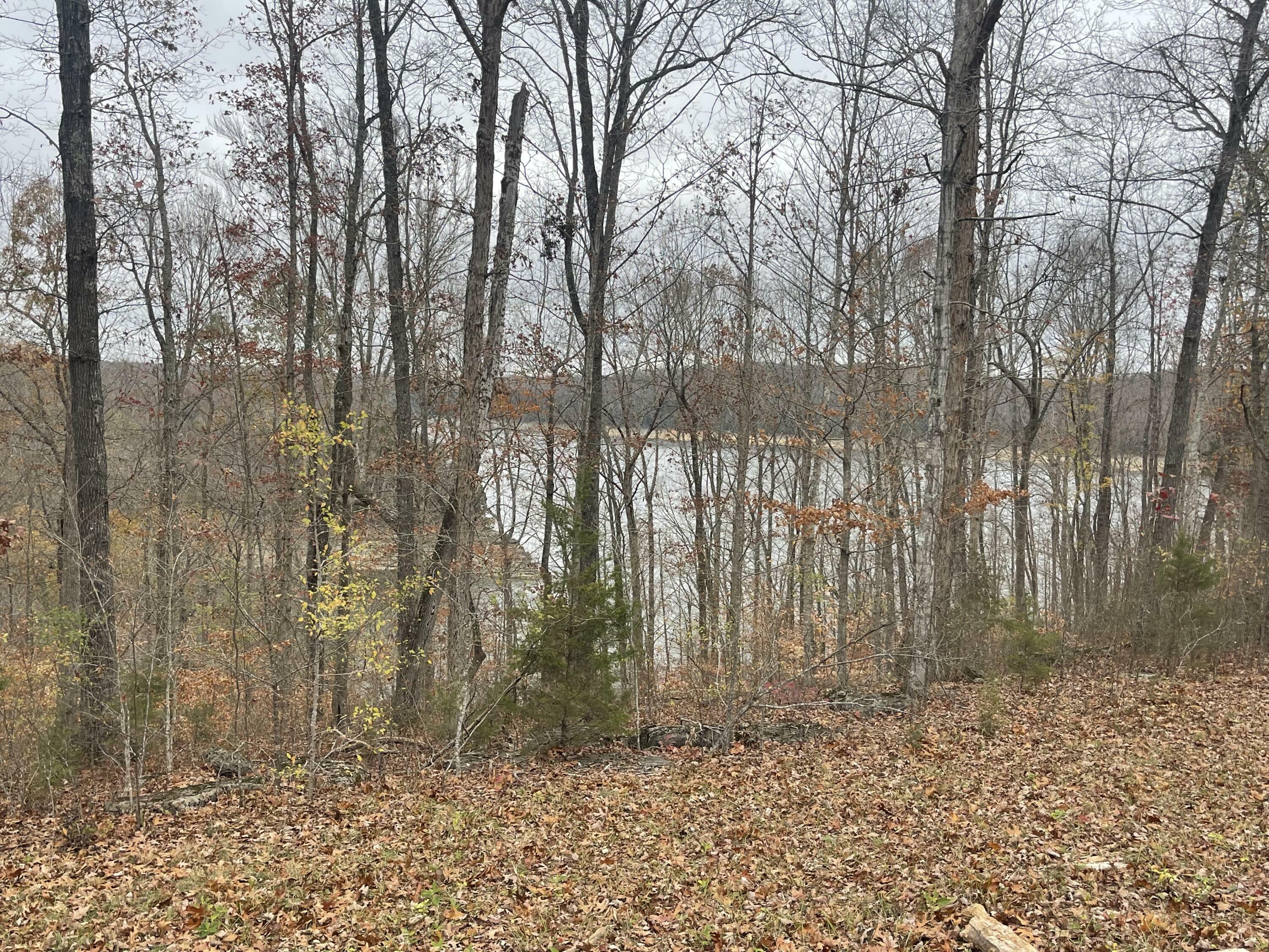 Property Photo:  Lot 37 Cumberland Shores  KY 42633 