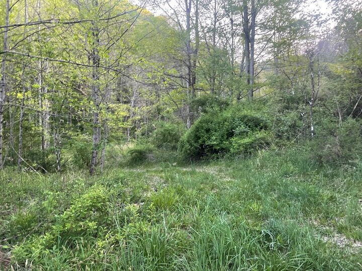 Property Photo:  00 Bob Byrd Rd  WV 25922 
