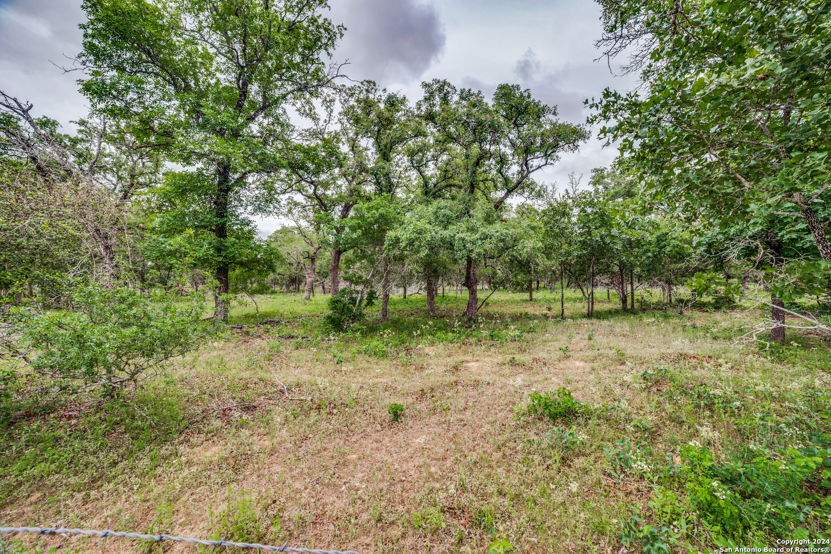 Property Photo:  313 Shorthorn Road  TX 78160 