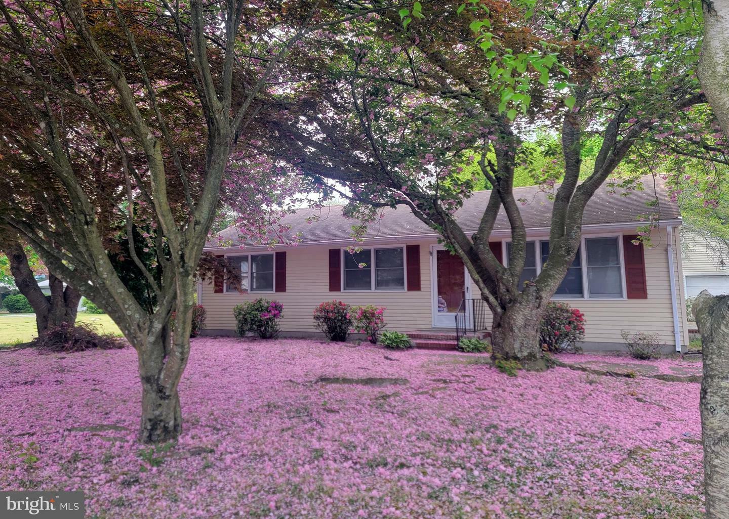 Property Photo:  502 Bethel Street  MD 21804 