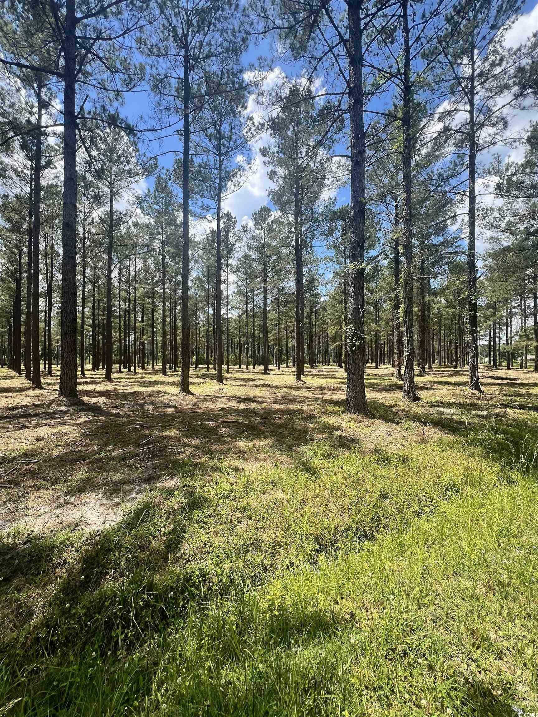 Property Photo:  Lot 4 Ashley Circle  SC 29526 