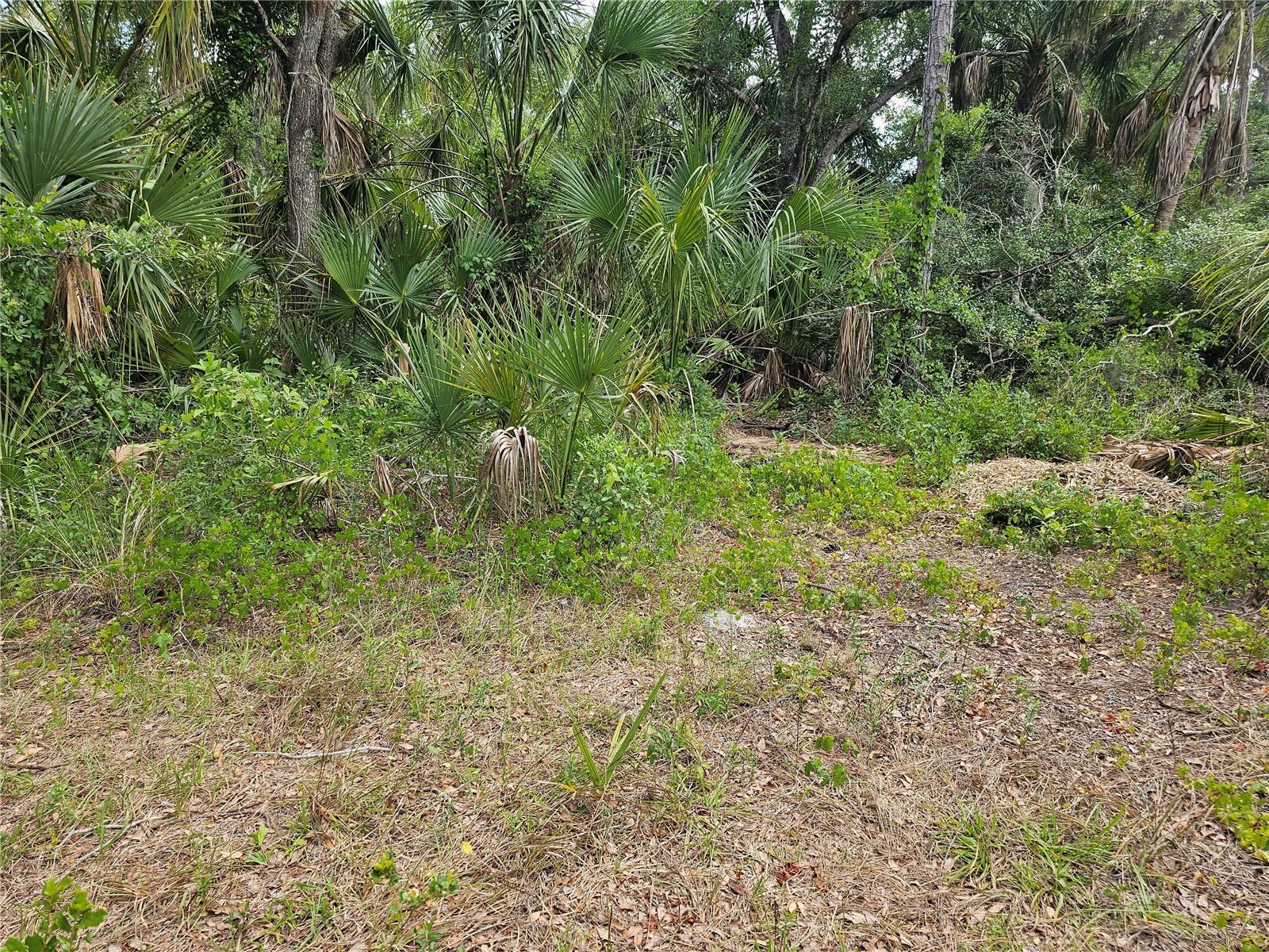 Property Photo:  13085 Babcock Avenue  FL 33953 