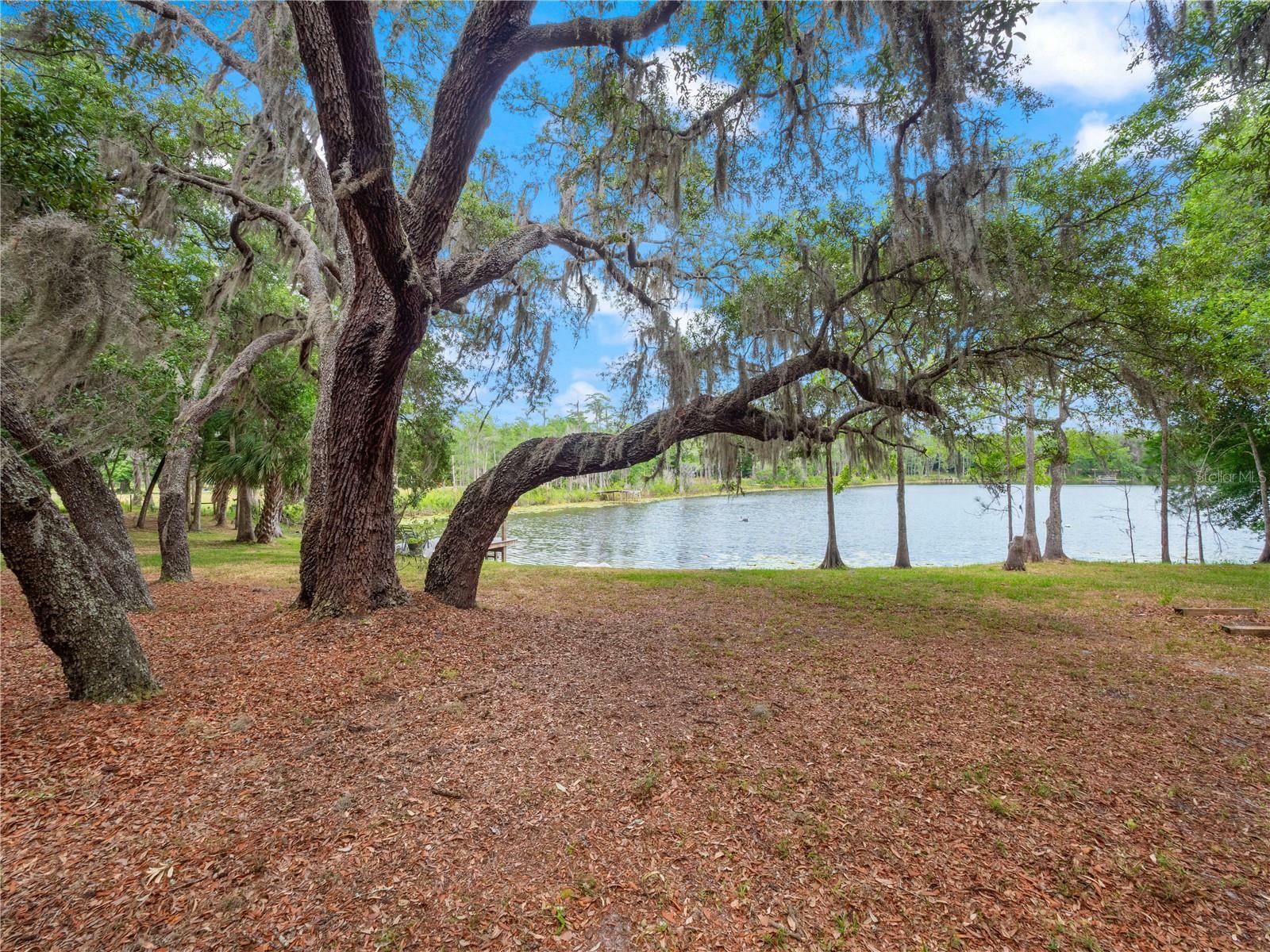 Property Photo:  5411 Pine Hollow Trail  FL 32765 