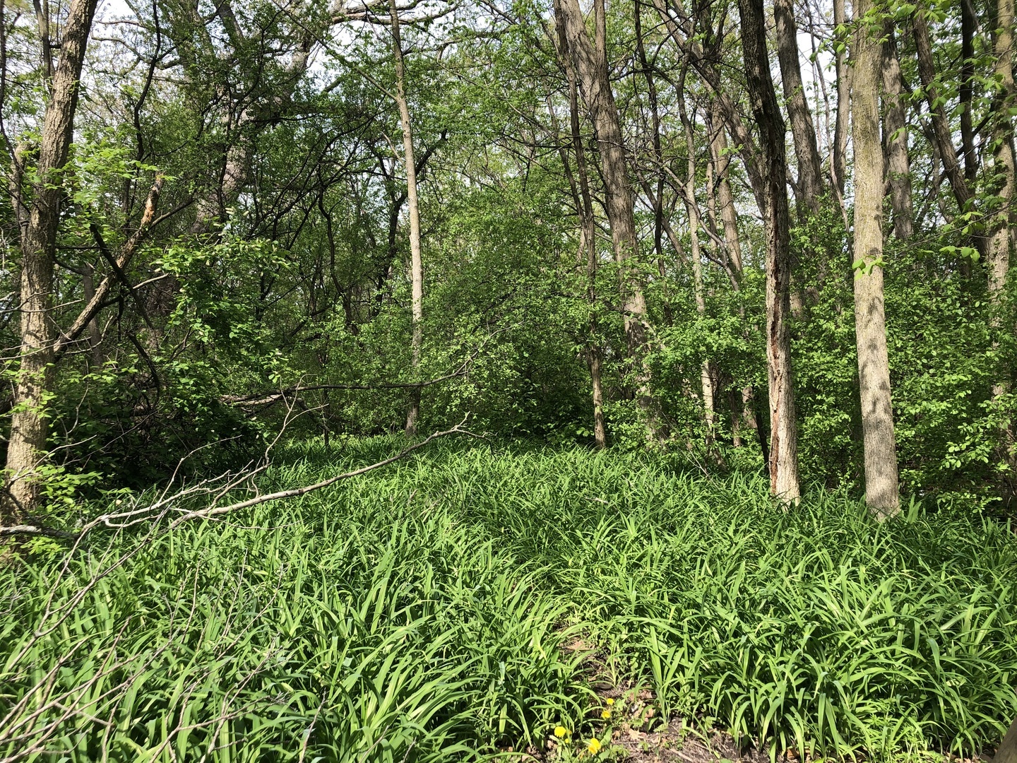 Property Photo:  23395 W Liberty Avenue  IL 60046 