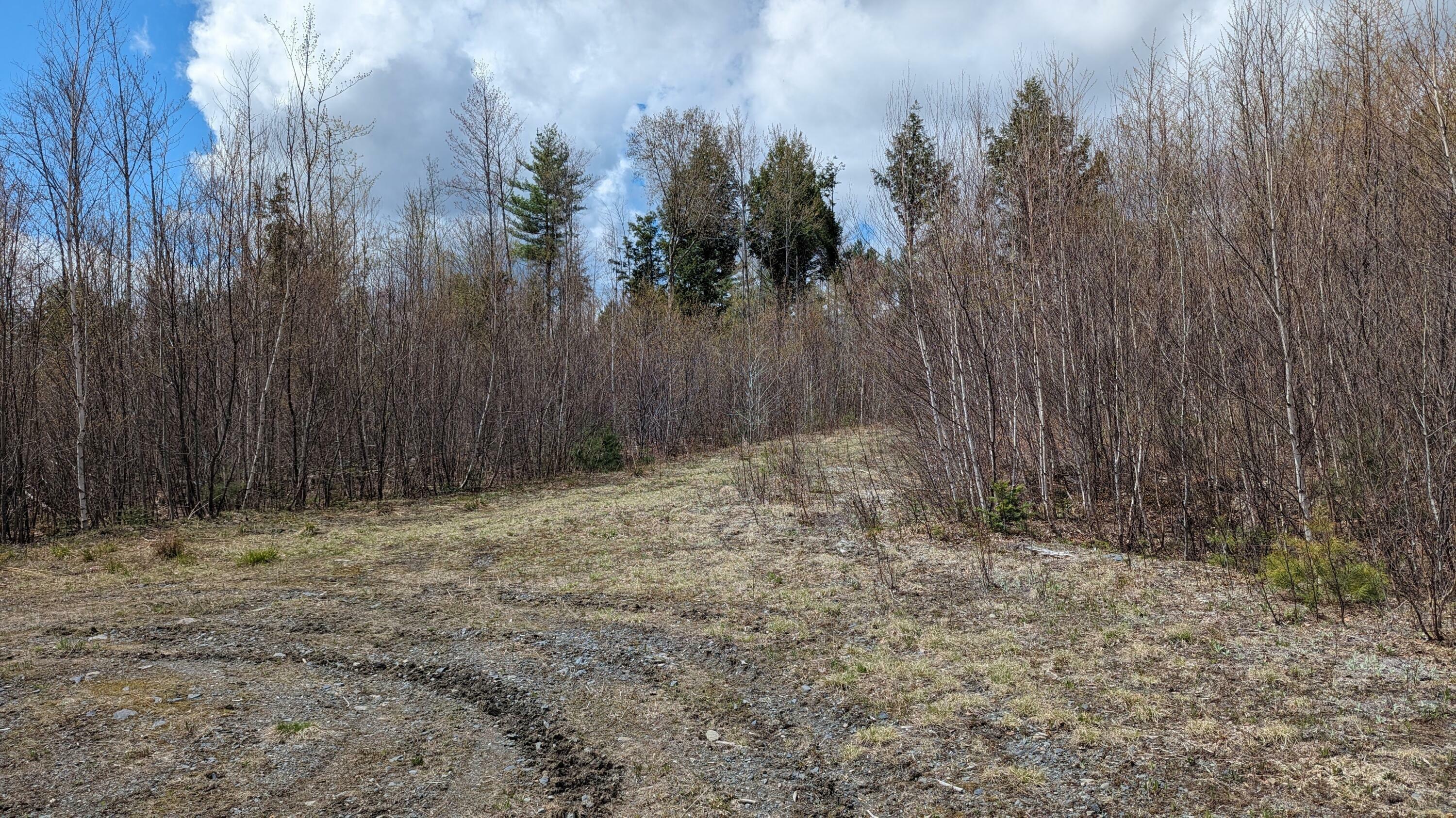 Property Photo:  M10l6 Off Of Old Brownville Sebec Road  ME 04463 