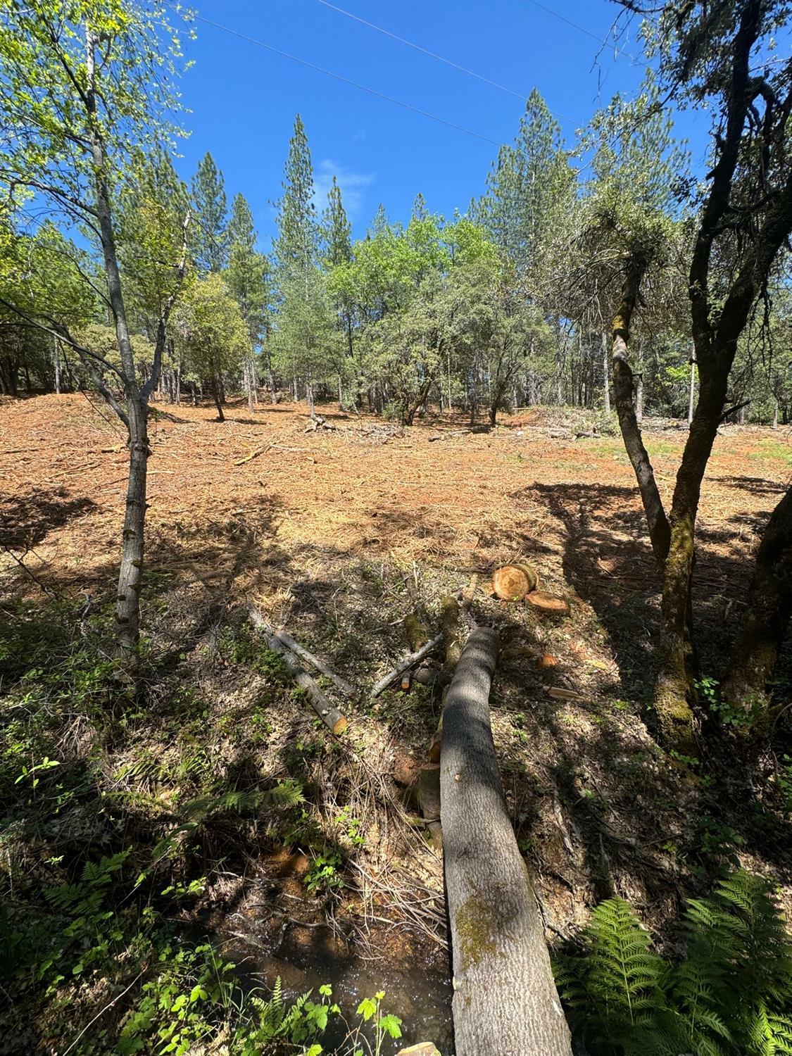 Property Photo:  13621 Red Duster Court  CA 95945 
