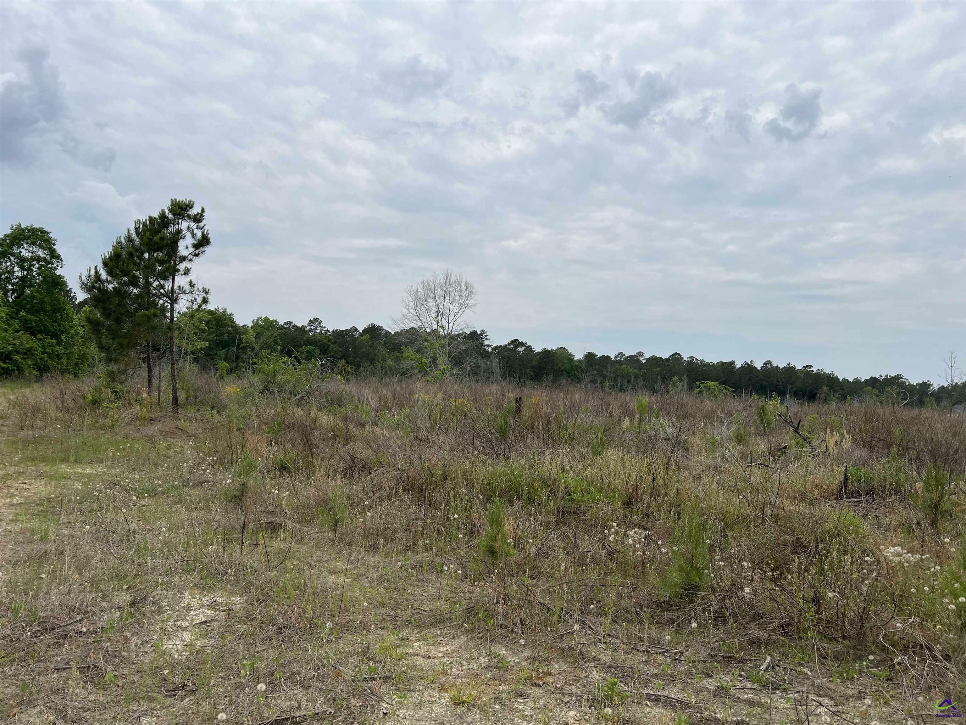 Property Photo:  Lot 2 Longstreet Church Road  GA 31014 