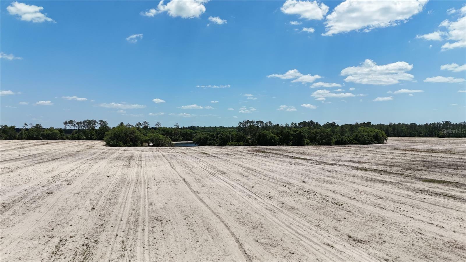 Property Photo:  114.1ac - E Hwy 318 E Hwy 318  FL 32113 