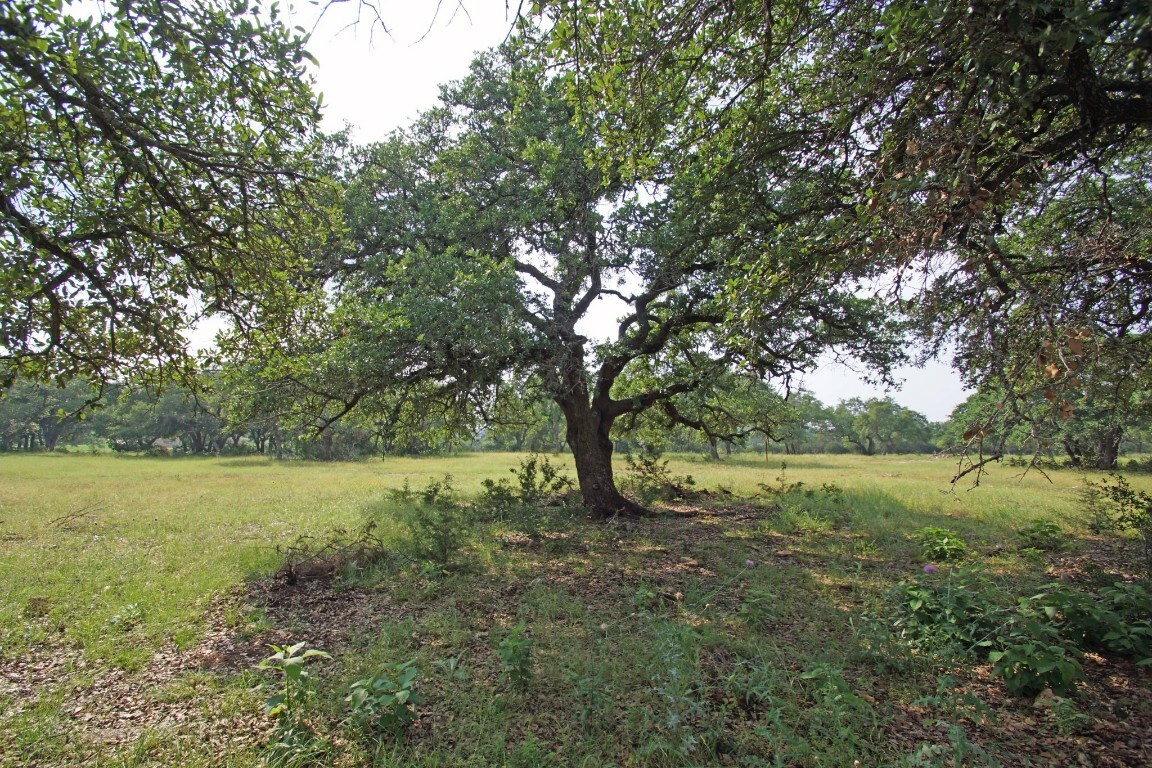 Property Photo:  1068 Eagle Point Drive  TX 78628 