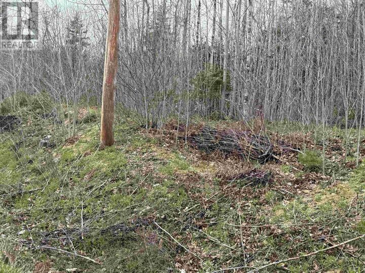 Property Photo:  Lot 5 Highway 10  NS B0R 1E0 