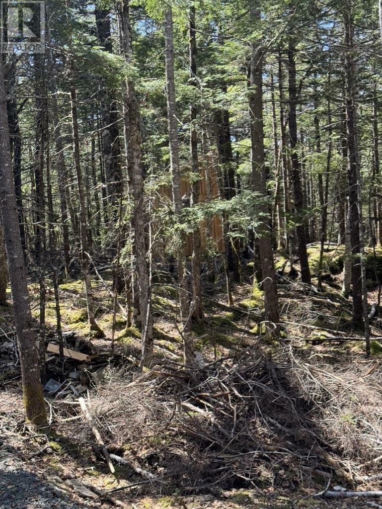 Property Photo:  Lot 66 Summit Ridge Road  NS B0N 2T0 