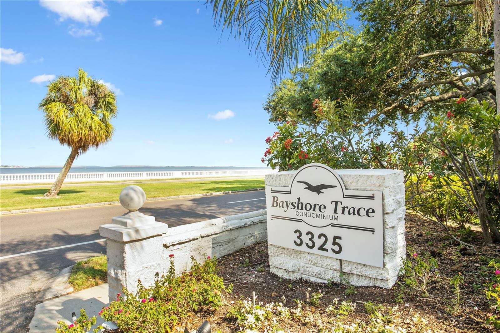 Property Photo:  3325 Bayshore Boulevard E14  FL 33629 