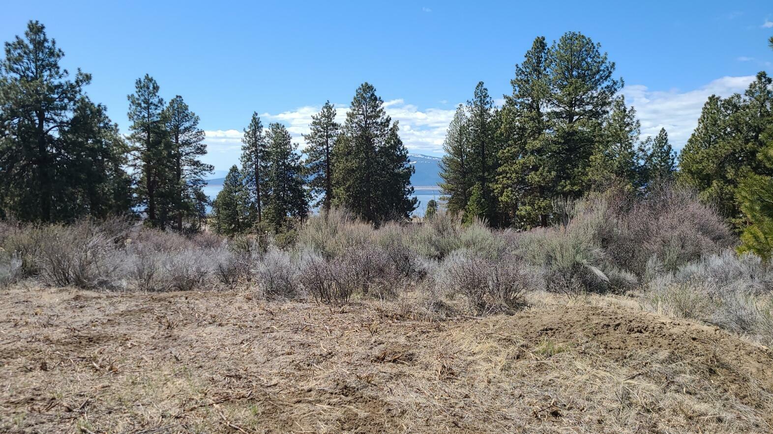 Property Photo:  Lot 12 Duke Drive  OR 97624 