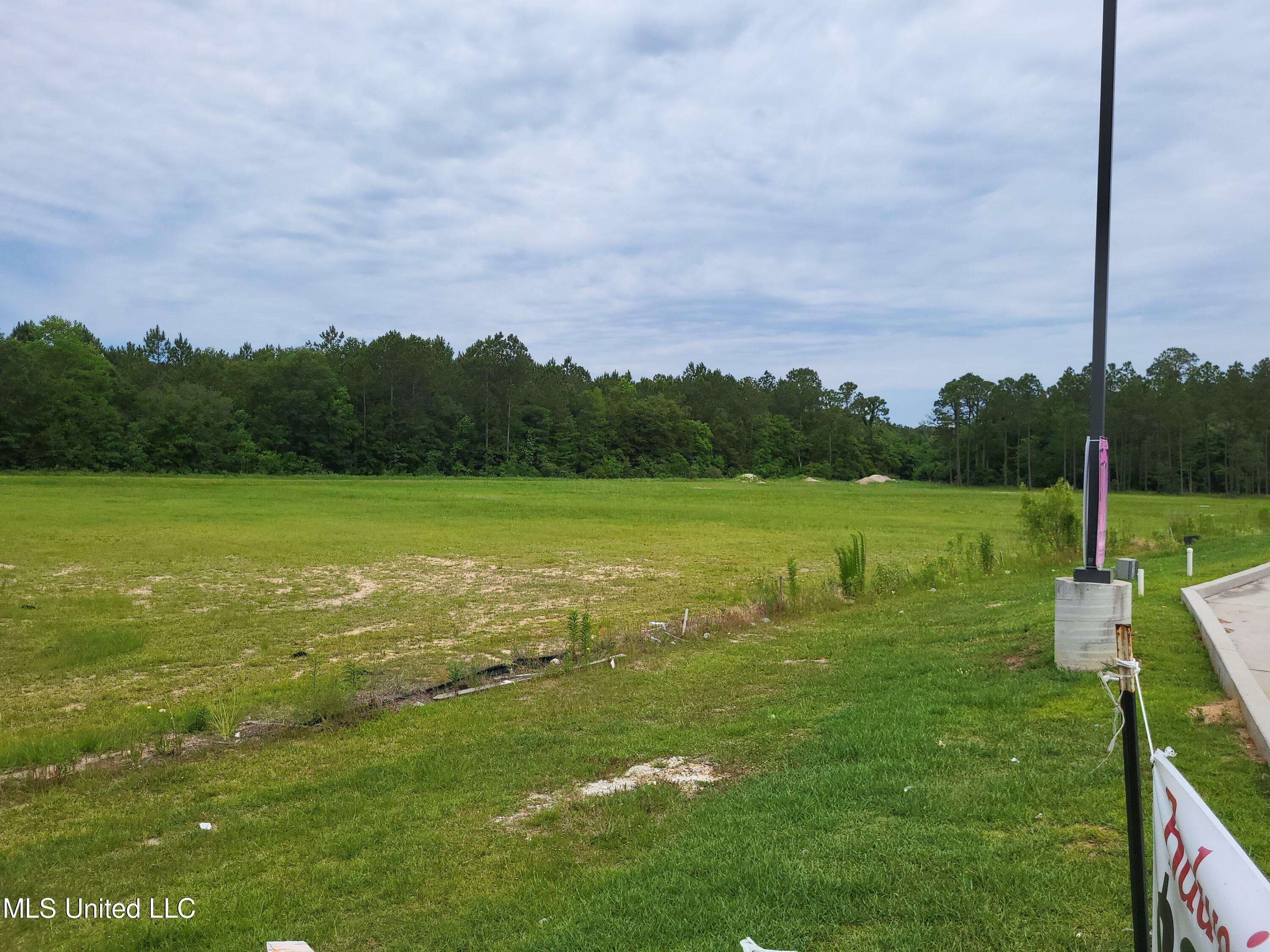 Property Photo:  6.8 Acres 28th Street  MS 39560 