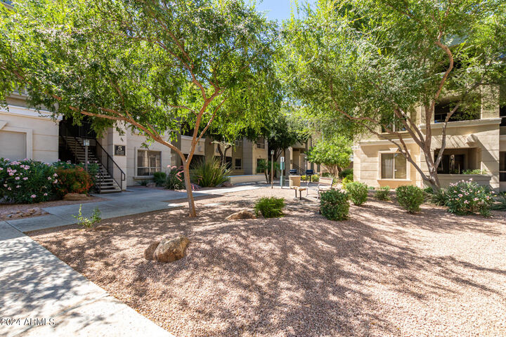 Property Photo:  5303 N 7th Street 321  AZ 85014 