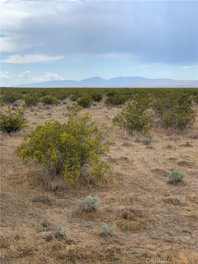 Property Photo: 0 Maverick St CA 93501