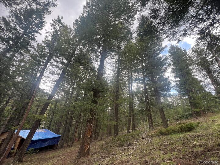 Property Photo: 5525 S Twin Spruce Drive CO 80439