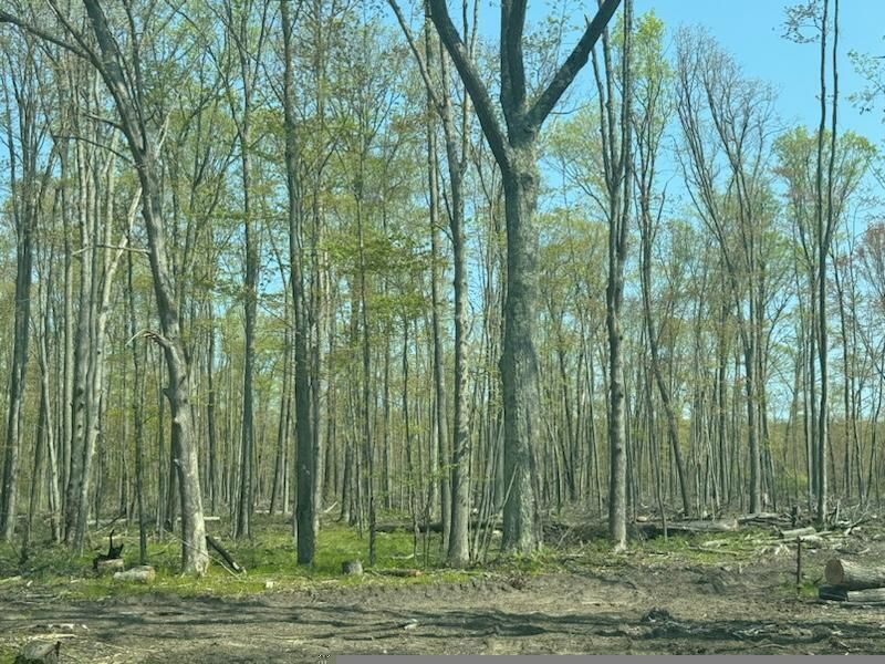 Property Photo: W Pine Drive MI 48653