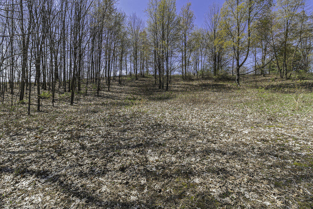 Property Photo:  Lot 16 Campbell Lake Drive  MI 49269 