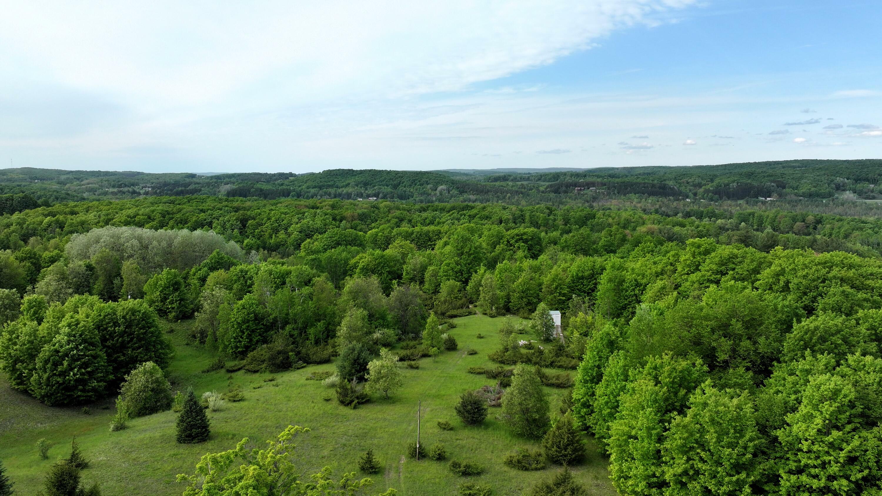 Property Photo:  Rogers Road 20 Acres  MI 49727 