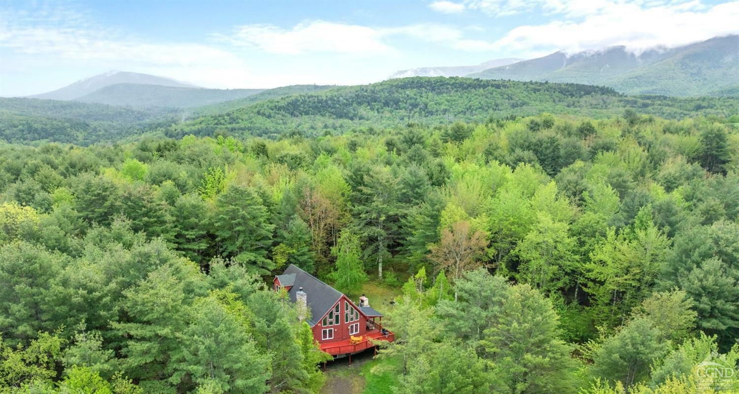 Property Photo:  39 Conifer Lake Road  NY 12444 