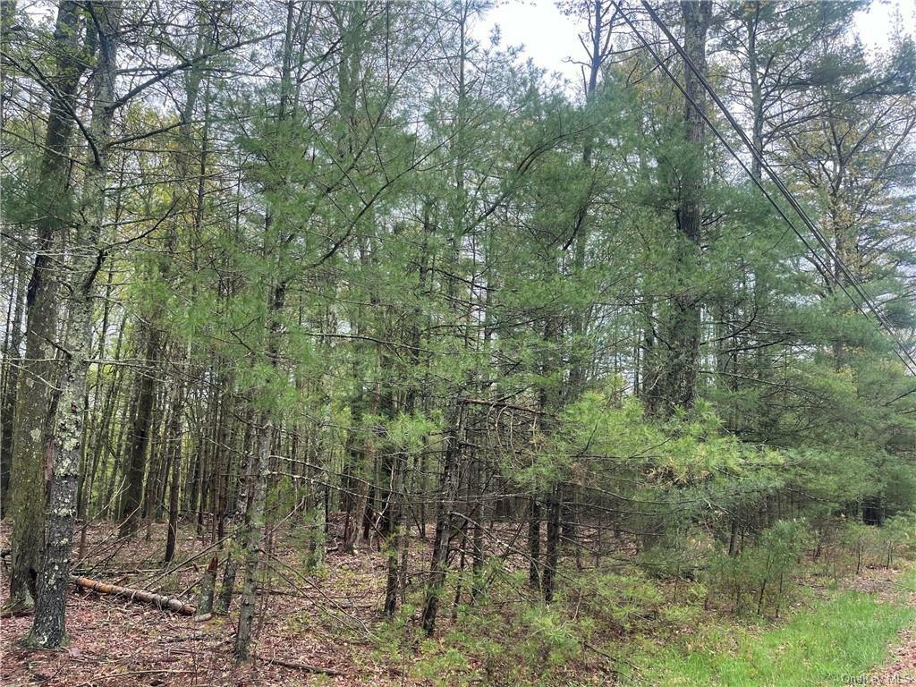 Property Photo:  Lot 2 Van Tuyl Road  NY 12719 